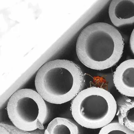 Apartament Le Nid… Ecrin Entre Et Foret Mentona
